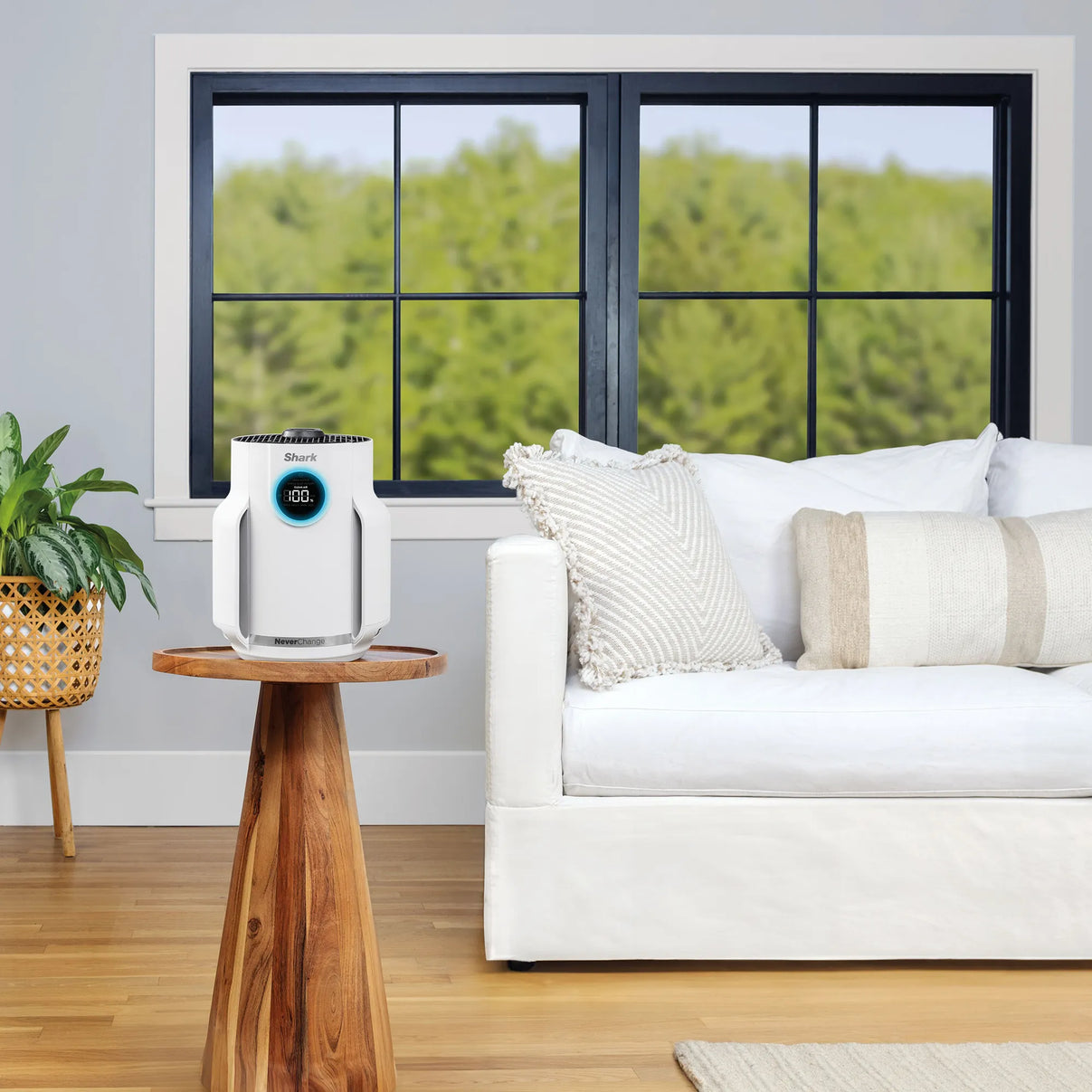 Shark NeverChange Air Purifier Compact Pro