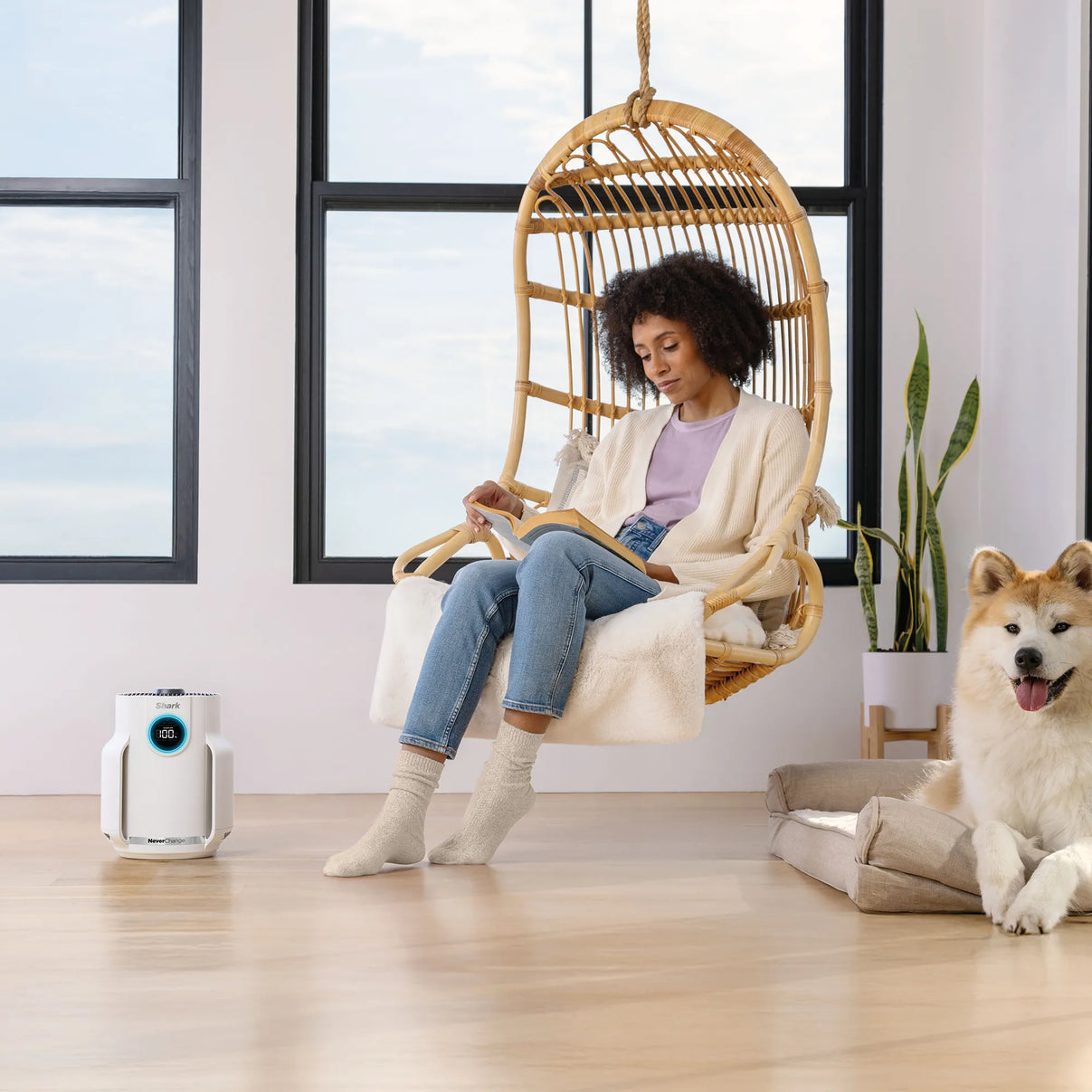 Shark NeverChange Air Purifier Compact Pro