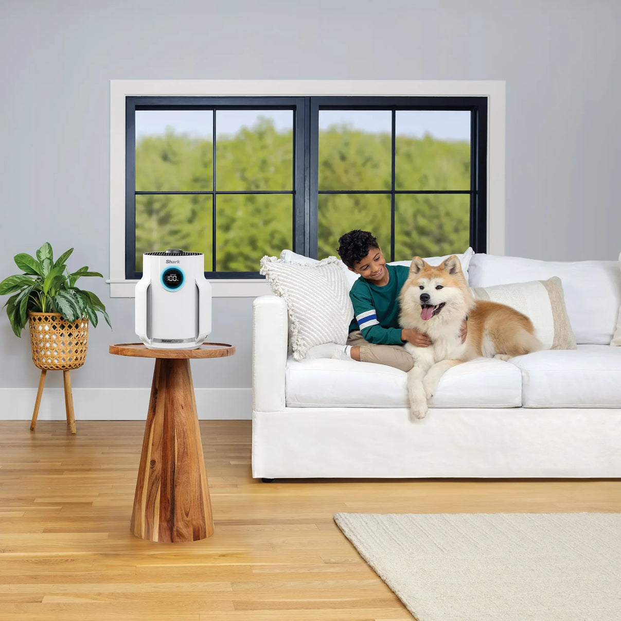 Shark NeverChange Air Purifier Compact Pro