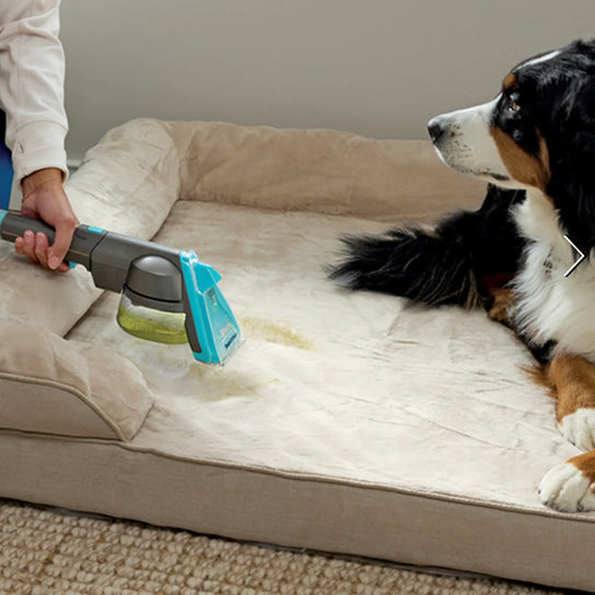 Shark StainStriker HairPro Pet Portable Spot & Stain Cleaner