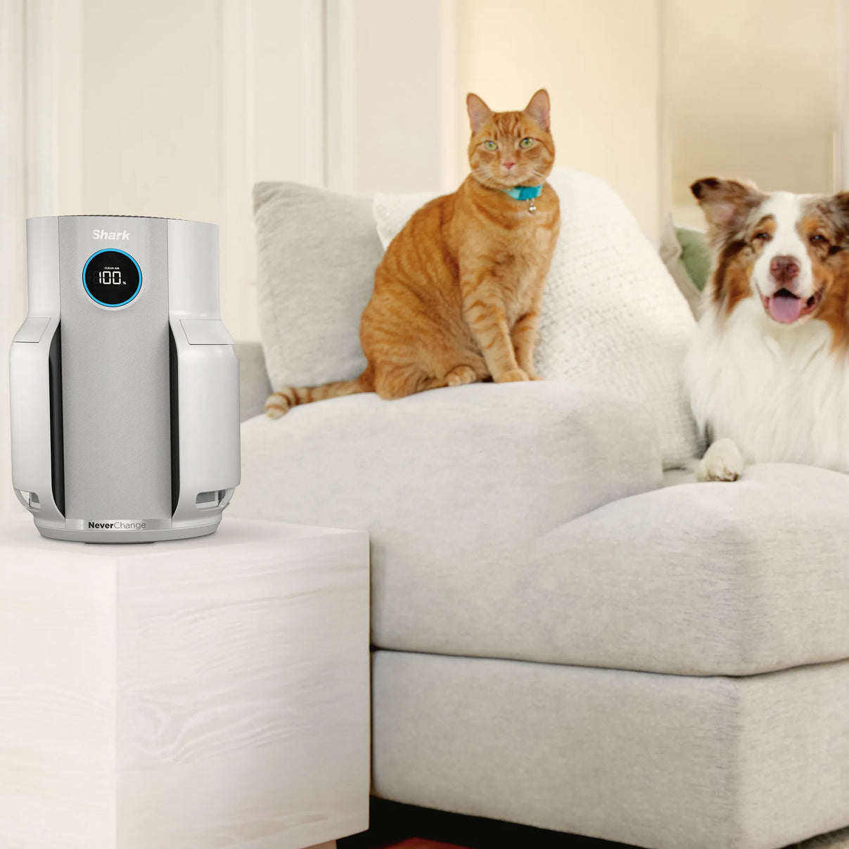 Shark NeverChange5 Air Purifier