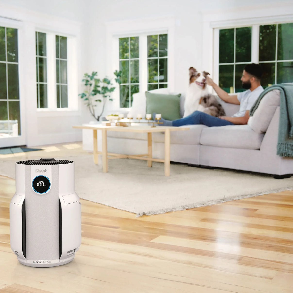 Shark NeverChange5 Air Purifier