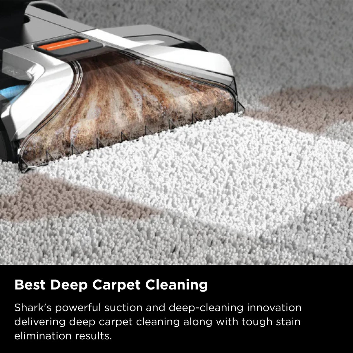 Shark CarpetXpert Deep Carpet Cleaner with Built-In StainStriker