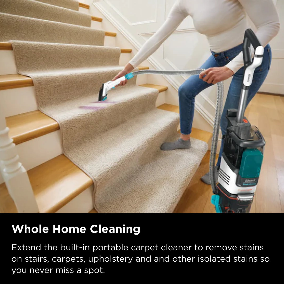 Shark CarpetXpert Deep Carpet Cleaner with Built-In StainStriker