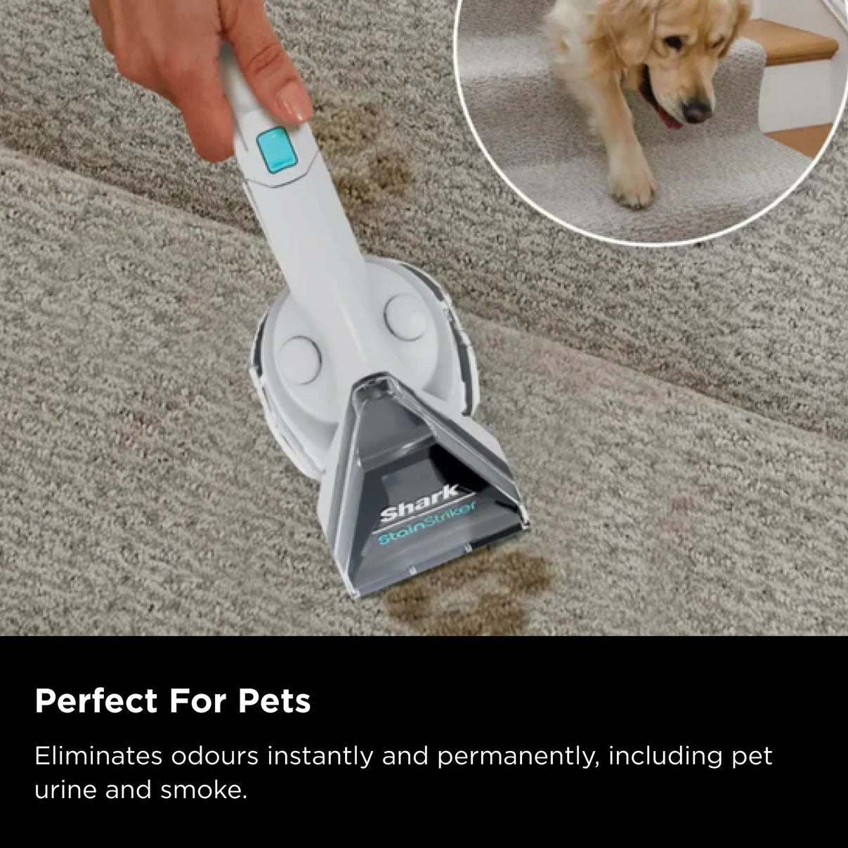 Shark StainStriker Portable Carpet & Upholstery Cleaner