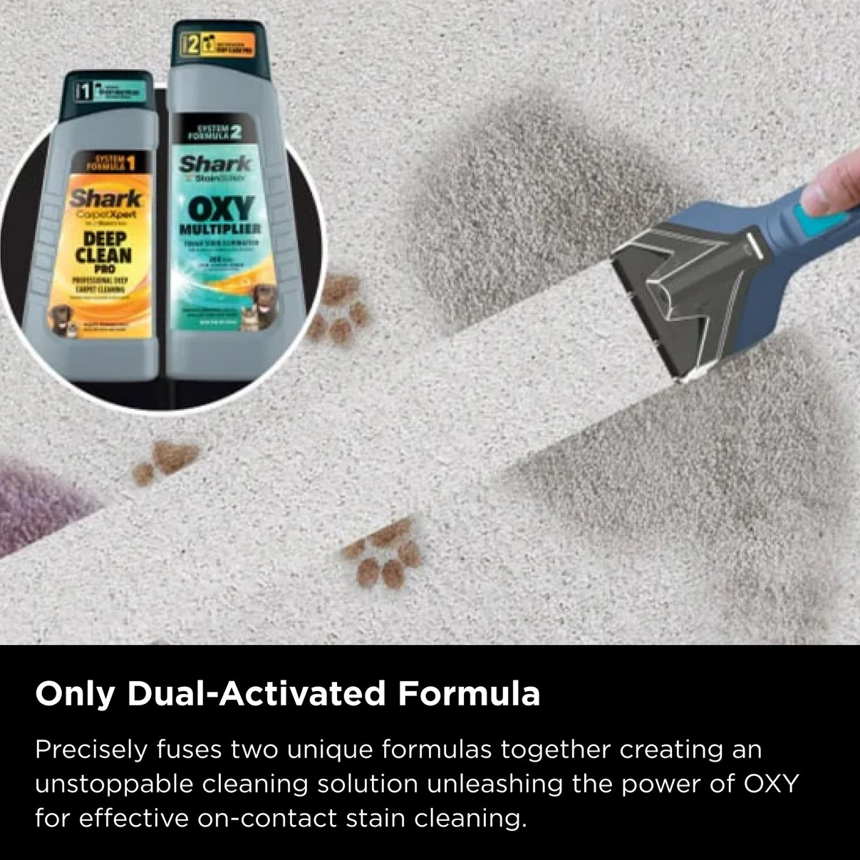 Shark StainStriker Portable Carpet & Upholstery Cleaner